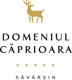 logo dark