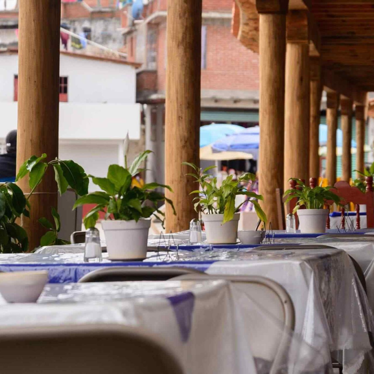 https://wkey.ro/dev/newtruf/wp-content/uploads/2017/10/restaurant-mexican-17-1280x1280.jpg